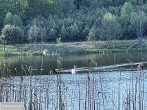Działka budowlana Borzechowo. Zdjęcie 1