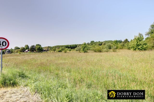 Działka budowlana Białowieża. Zdjęcie 5