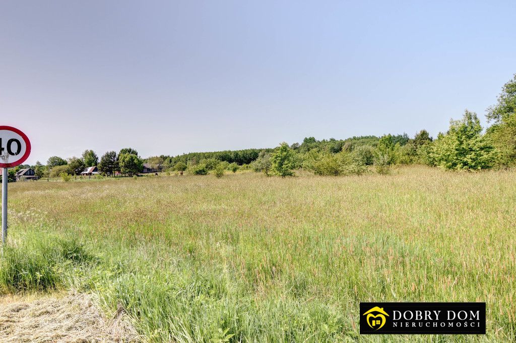 Działka budowlana Białowieża. Zdjęcie 5