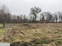 Działka budowlana Siennica, ul. gen. Władysława Sikorskiego. Zdjęcie 4