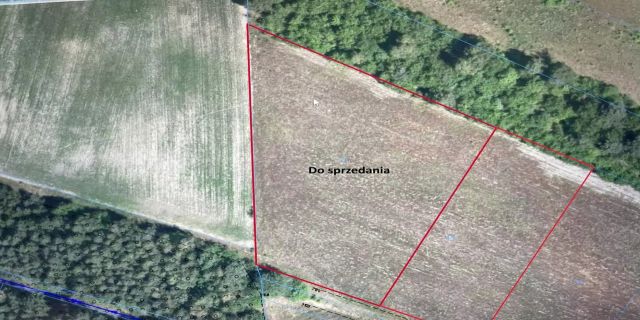 Działka budowlana Świerczek. Zdjęcie 1