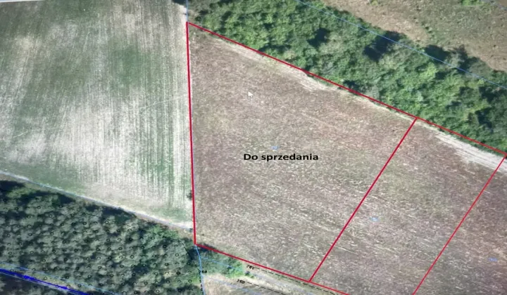 Działka budowlana Świerczek