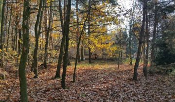 Działka budowlana Rosanów