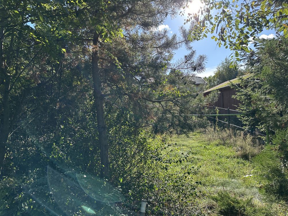 Działka rekreacyjna Dominice, ul. Jeziorna. Zdjęcie 2