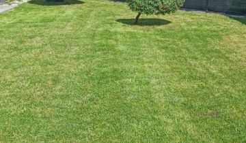 bliźniak, 5 pokoi Krzyków