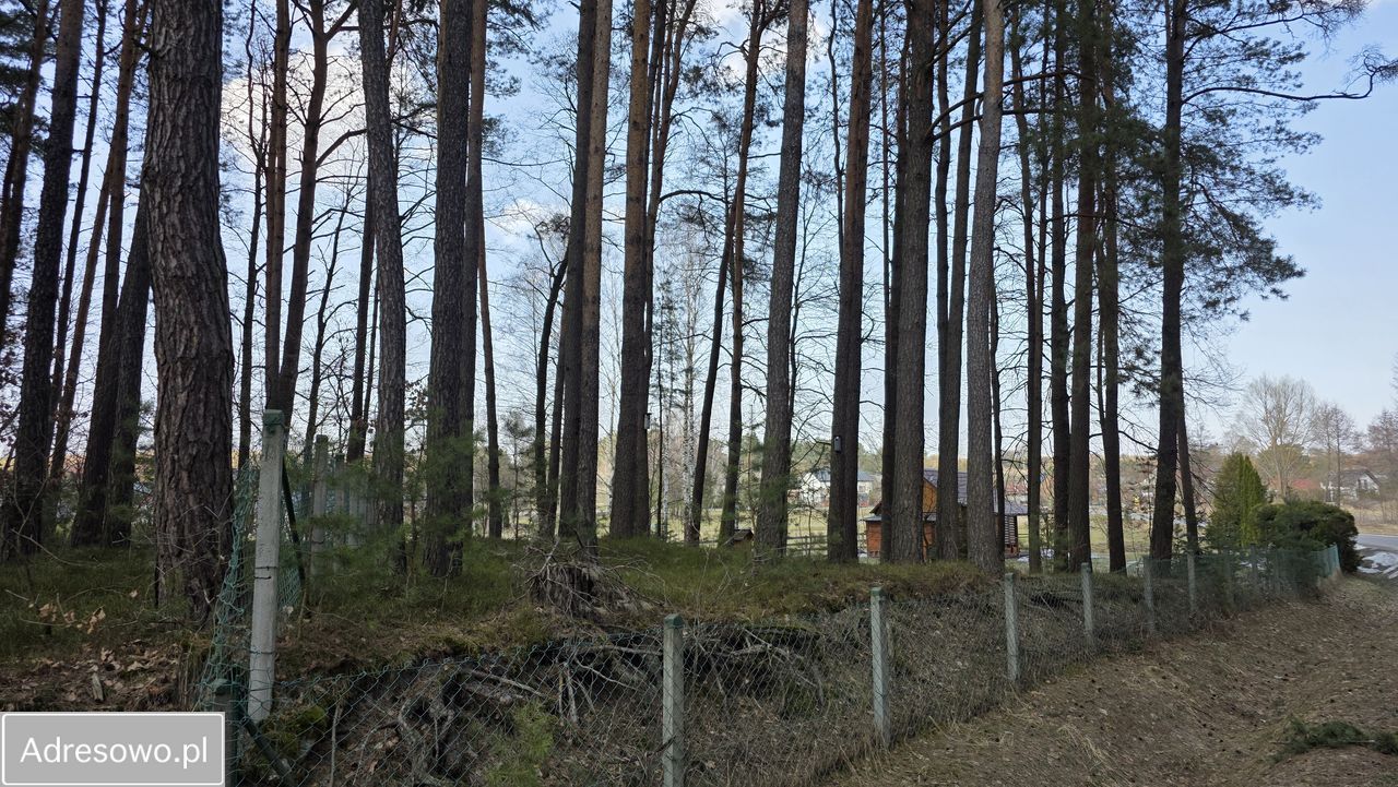 Działka leśna Wólka Łosiniecka. Zdjęcie 14