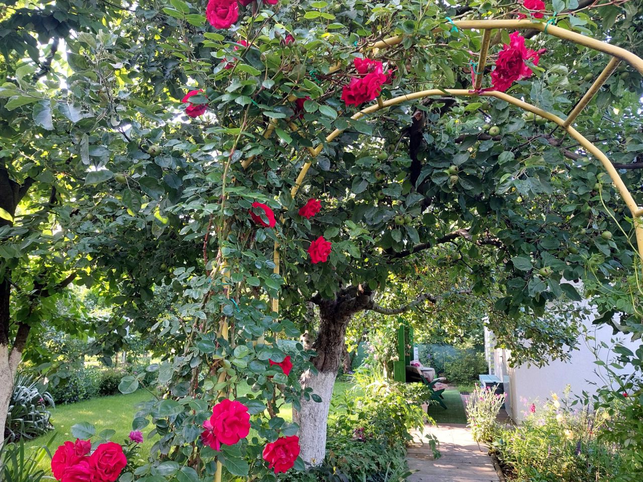 Działka rod Opole. Zdjęcie 8