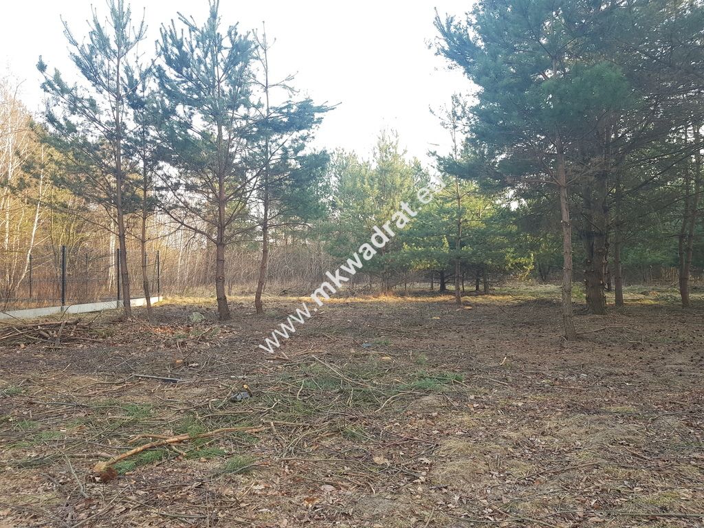 Działka Rozalin. Zdjęcie 1