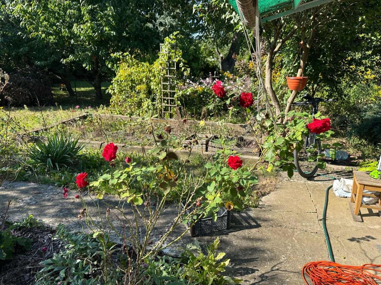 Działka rod Warszawa. Zdjęcie 6