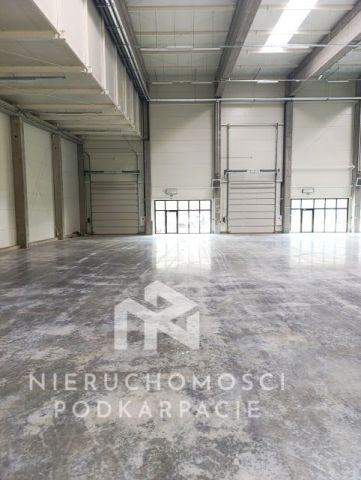 Hala/magazyn Rzeszów Dworzysko, ul. Biznesowa. Zdjęcie 2