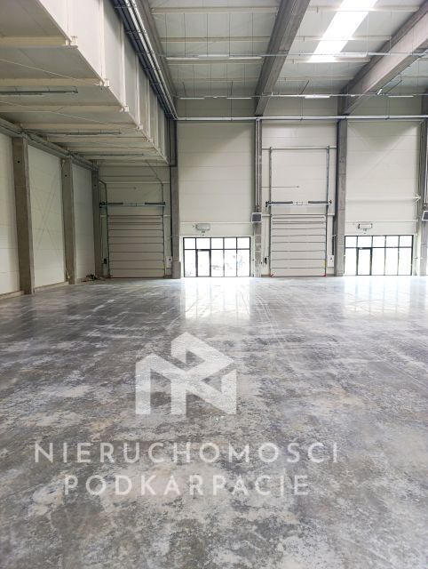 Hala/magazyn Rzeszów Dworzysko, ul. Biznesowa. Zdjęcie 2