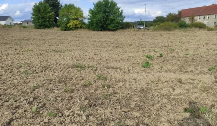Działka budowlana Trójca