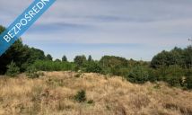 Działka inwestycyjna Marków-Świnice. Zdjęcie 2