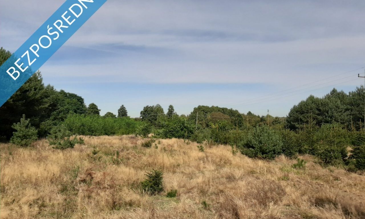 Działka inwestycyjna Marków-Świnice. Zdjęcie 3