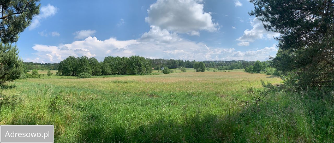 Działka rekreacyjna Sulęczyno, ul. Brzozowa. Zdjęcie 3