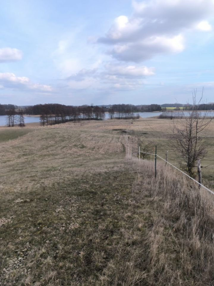 Działka rolna Marcinowa Wola. Zdjęcie 6