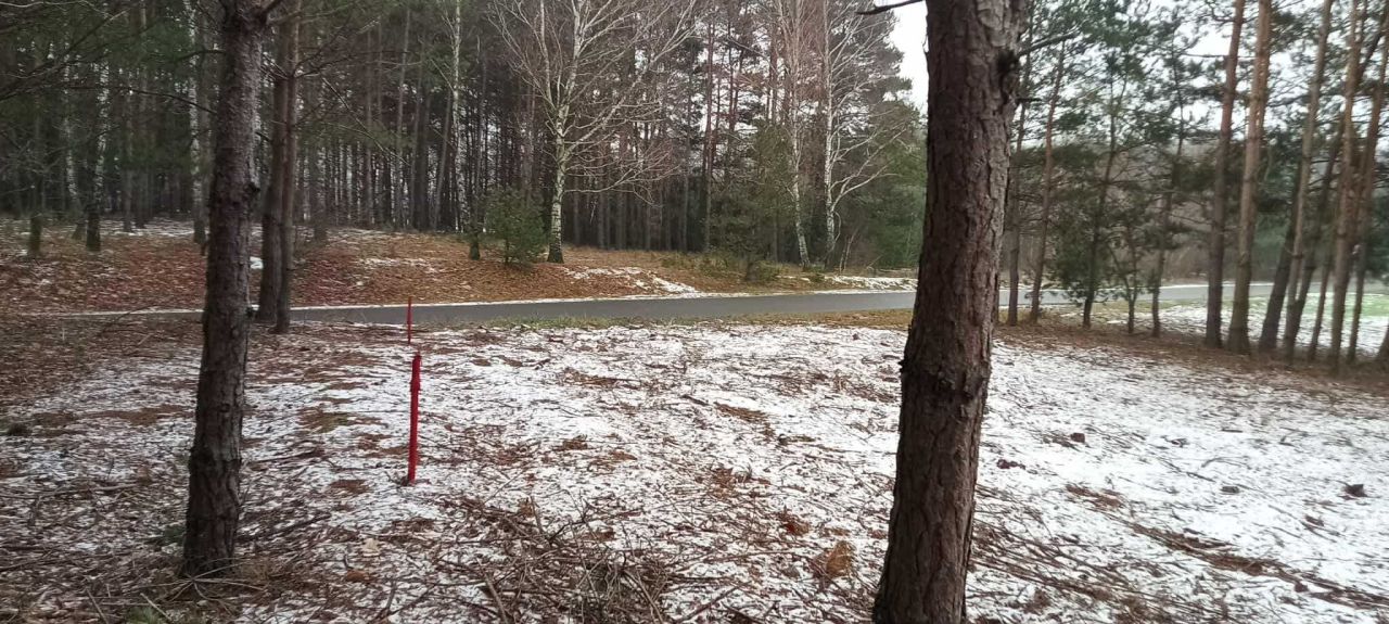 Działka budowlana Okna. Zdjęcie 6