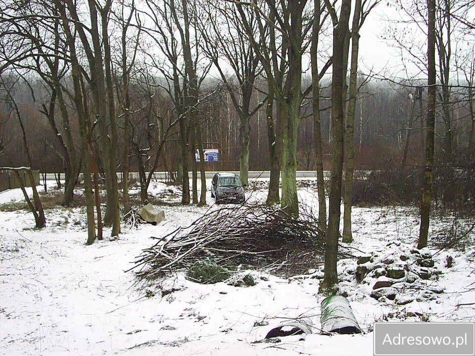 Działka Kuźnica. Zdjęcie 3