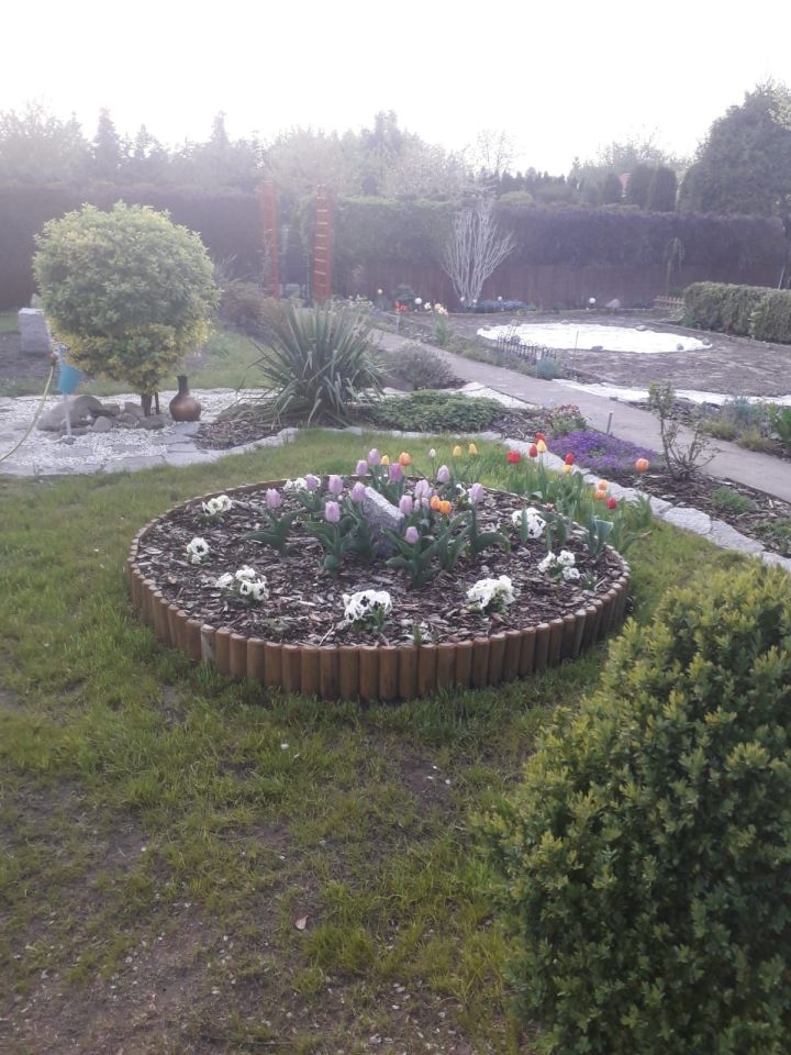 Działka rod Kulów. Zdjęcie 6