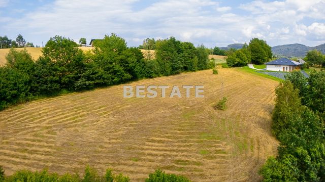 Działka budowlana Paleśnica. Zdjęcie 6