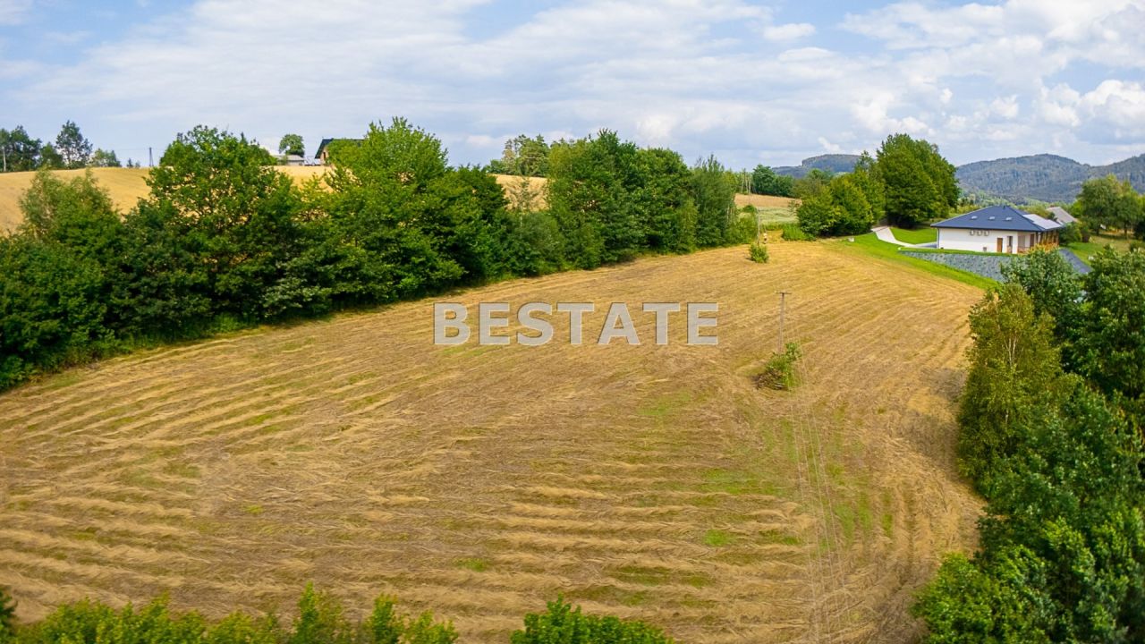 Działka budowlana Paleśnica. Zdjęcie 6