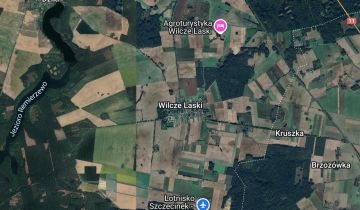 Działka rolna Wilcze Laski