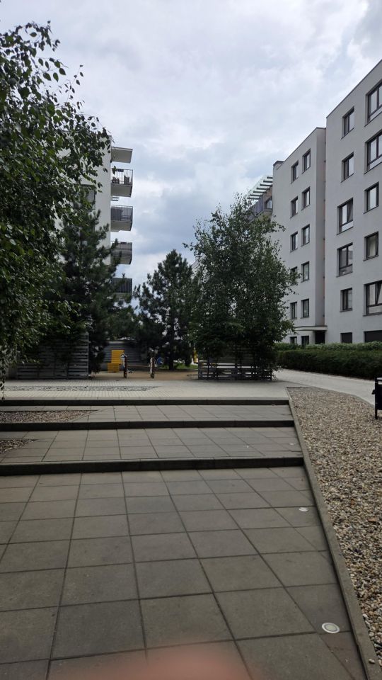Mieszkanie 3-pokojowe Poznań Wilda, ul. Rolna. Zdjęcie 31