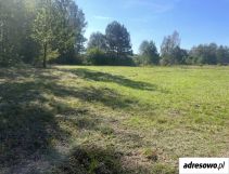 Działka budowlana Ruda-Huta, ul. Polna. Zdjęcie 2