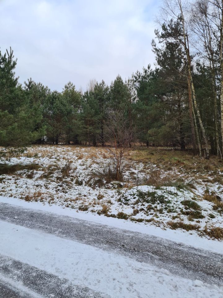 Działka rolno-budowlana Gostyniec. Zdjęcie 4