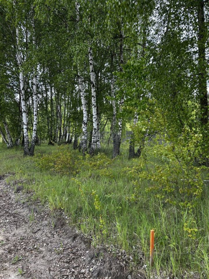 Działka budowlana Myszków, ul. Piękna. Zdjęcie 4