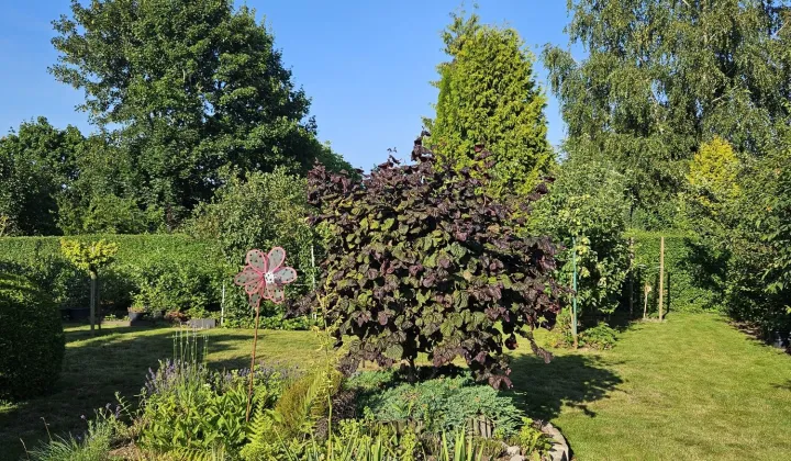 Działka rod Słupsk, ul. Gdańska