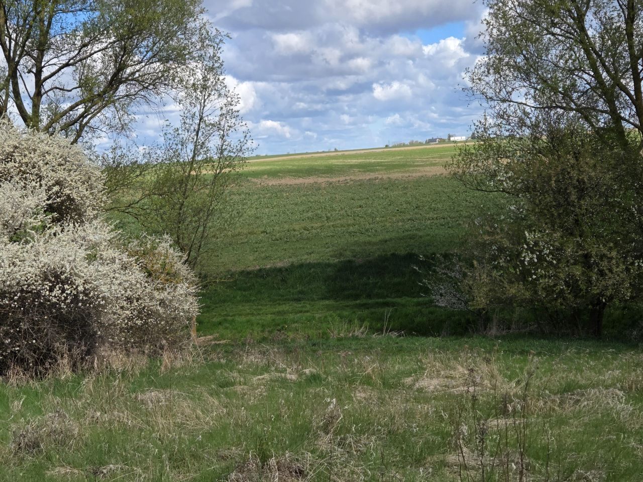 Działka budowlana Łubianka, ul. Aleja Jana Pawła II. Zdjęcie 6
