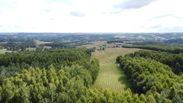 Działka budowlana Nowy Borek. Zdjęcie 5