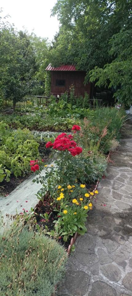 Działka rekreacyjna Wrocław Ołtaszyn, ul. gen. Tadeusza Kutrzeby