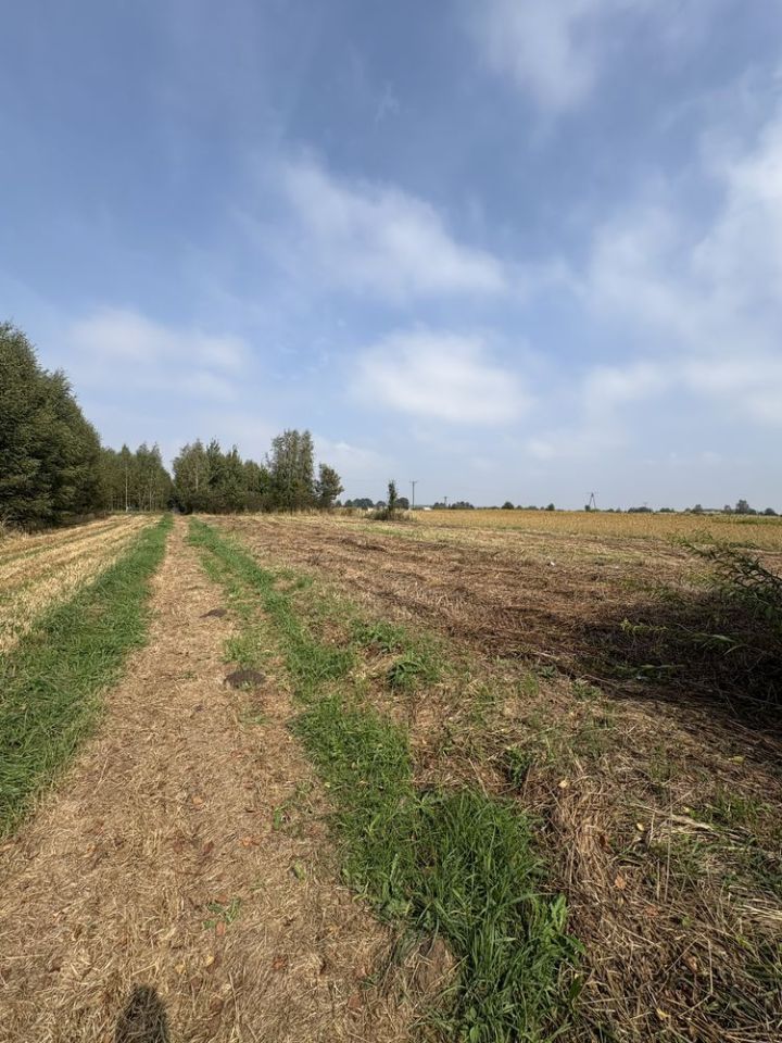 Działka rolno-budowlana Stojeszyn Pierwszy. Zdjęcie 6