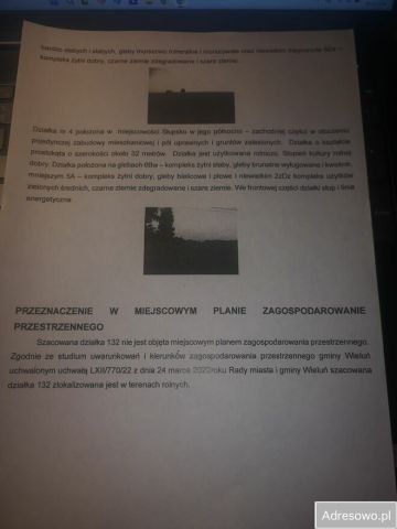 Działka rolna Słupsko. Zdjęcie 1