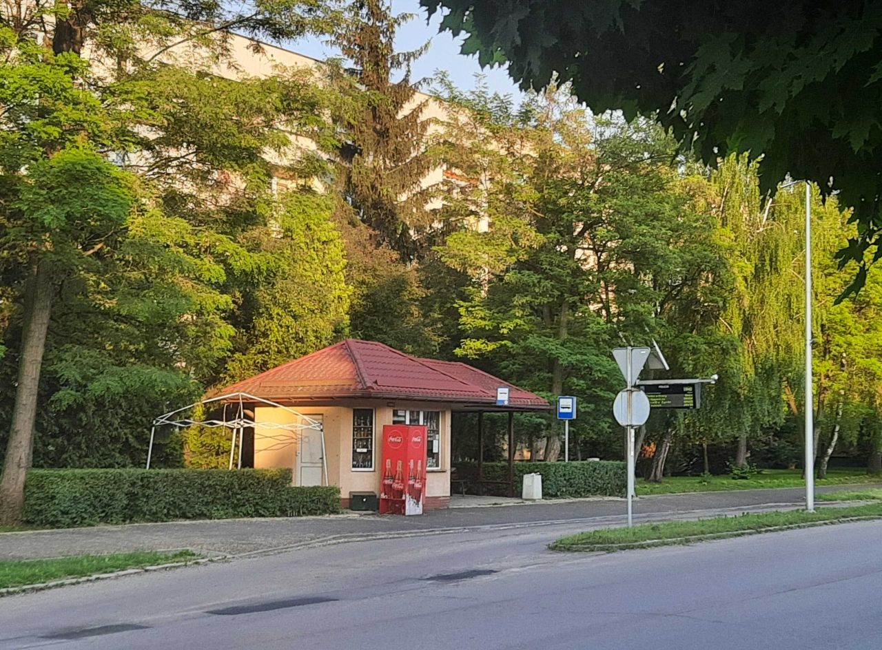 Lokal Żywiec, al. Piłsudskiego. Zdjęcie 4