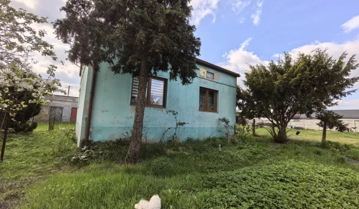 dom wolnostojący, 2 pokoje Orchów