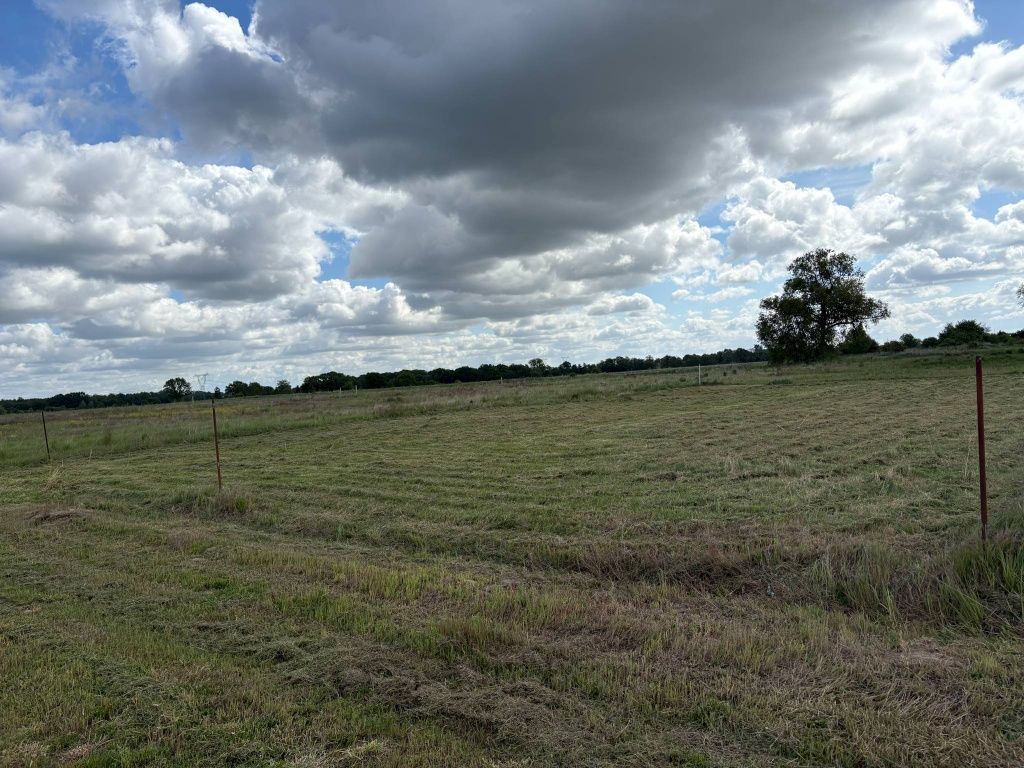 Działka budowlana Lubowo. Zdjęcie 2