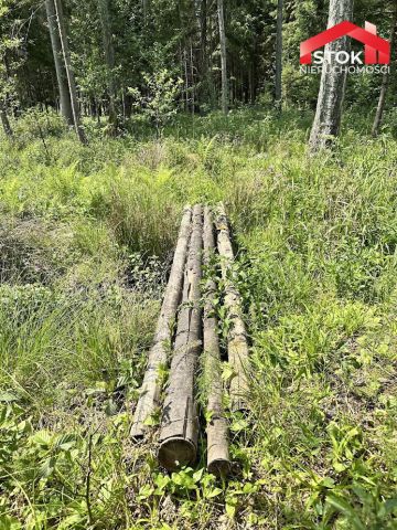 Działka leśna Rudnica. Zdjęcie 11
