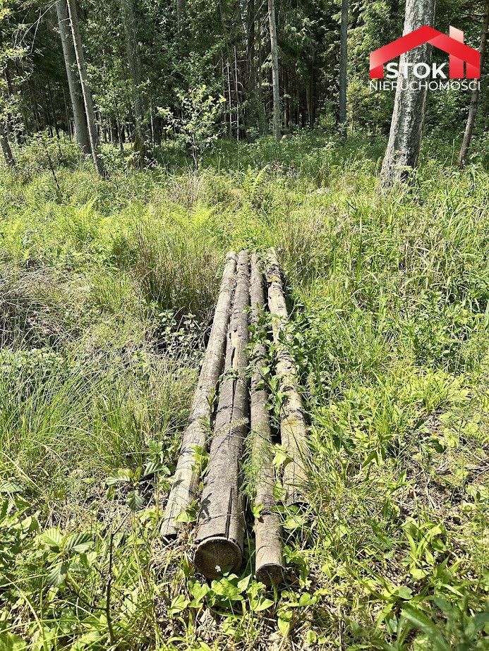 Działka leśna Rudnica. Zdjęcie 11