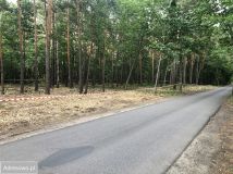 Działka leśna Warszawa Wawer, ul. Żarecka