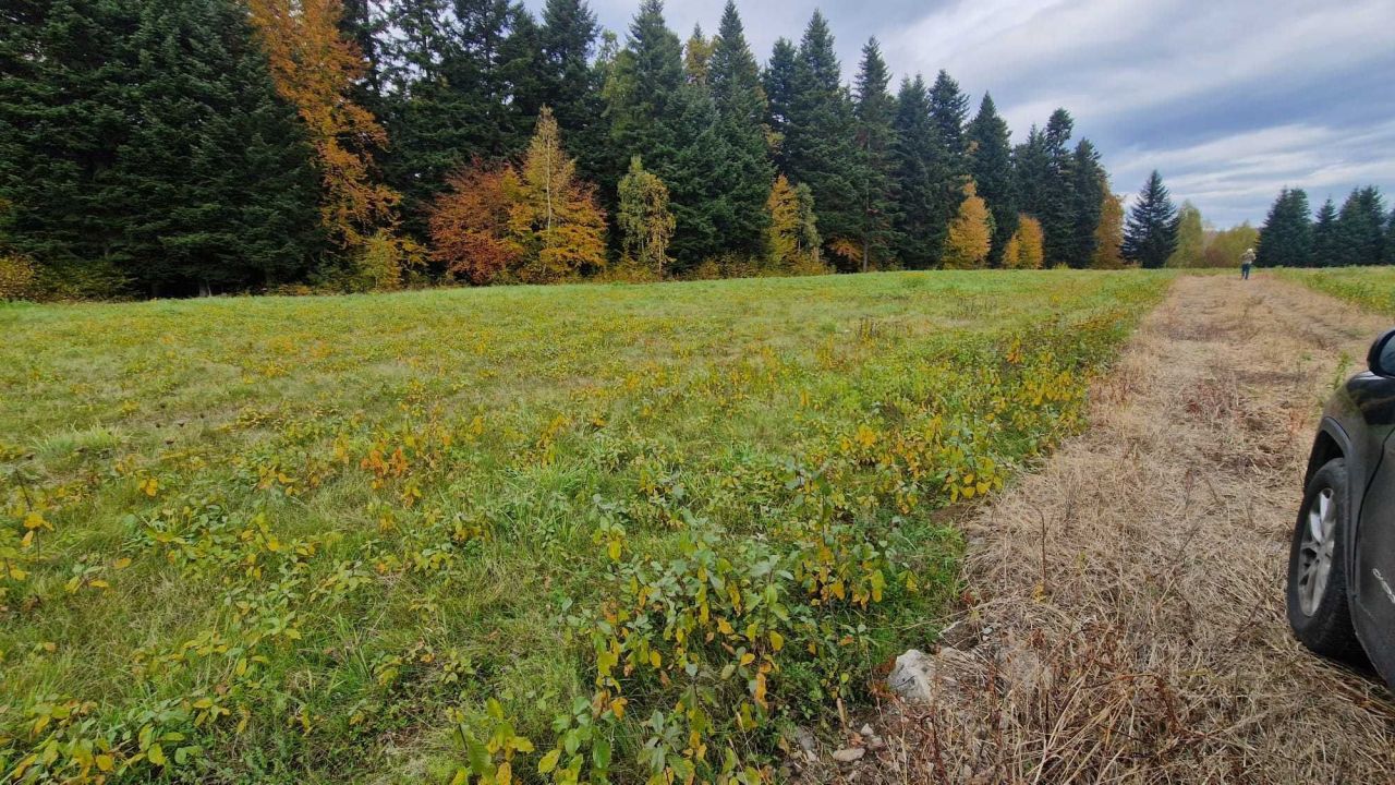 Działka rolna Zagórz Dolina. Zdjęcie 7
