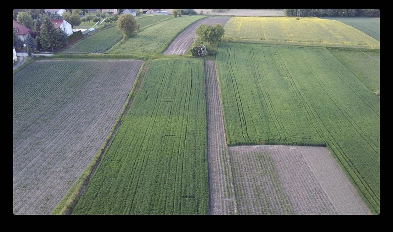 Działka budowlana Krzysztoforzyce, ul. Glinik. Zdjęcie 1