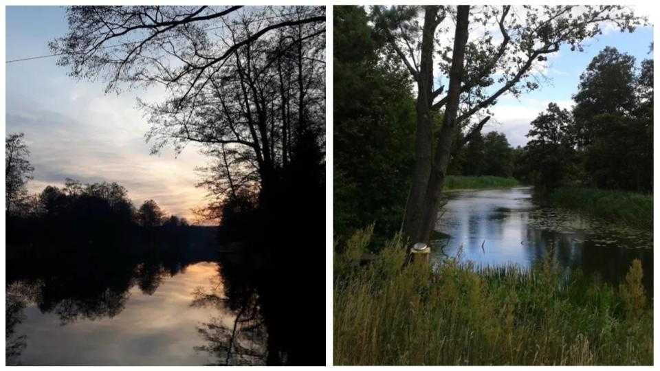 Działka rod Wadąg. Zdjęcie 2