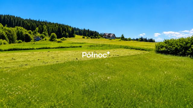 Działka rolna Spytkowice. Zdjęcie 5