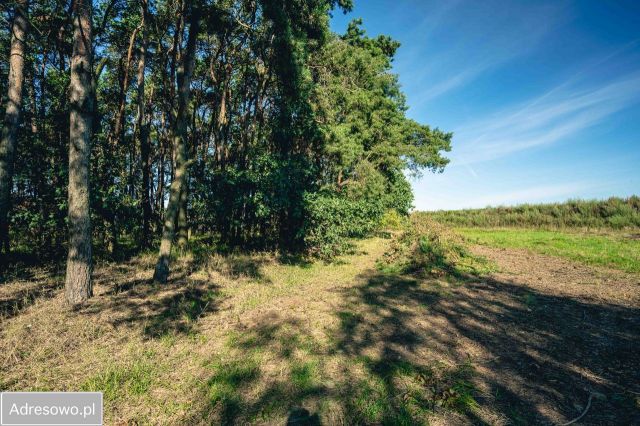 Działka budowlana Rabowice, ul. Leśnej Polanki. Zdjęcie 1