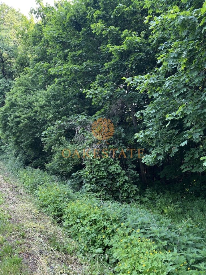 Działka budowlana Lisewo. Zdjęcie 3