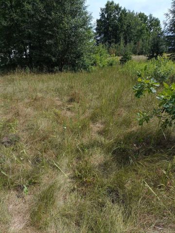 Działka budowlana Marki Struga. Zdjęcie 1