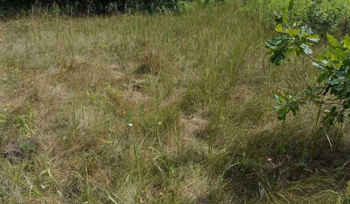 Działka budowlana Marki Struga